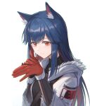  1girl absurdres animal_ear_fluff animal_ears arknights bangs blue_hair closed_mouth commentary_request gloves highres jacket long_hair looking_at_viewer multicolored_hair red_gloves redhead simple_background solo streaked_hair texas_(arknights) upper_body white_background white_jacket wolf_ears yidie 