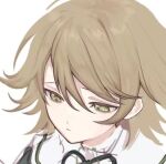  1boy bangs black_ribbon brown_eyes brown_hair closed_mouth danganronpa:_trigger_happy_havoc danganronpa_(series) fujisaki_chihiro grey_background liang_cun_rakuna lowres male_focus messy_hiar neck_ribbon potrait ribbon shiny shiny_hair short_hair simple_background solo 