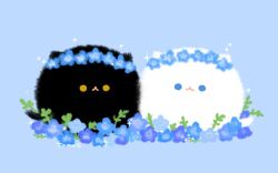  animal_focus artist_name black_cat blue_background blue_eyes blue_flower cat closed_mouth commentary_request flower no_humans original simple_background sparkle tamagom5m5 white_cat yellow_eyes 