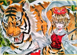  1girl absurdres animal_print bamboo bishamonten's_spear black_hair black_ribbon blonde_hair commentary_request dress hagoromo highres holding holding_polearm holding_weapon japanese_clothes kimono l0e9s29p long_sleeves looking_at_viewer multicolored_hair neck_ribbon open_mouth polearm red_dress ribbon sharp_teeth shawl short_hair solo spear teeth tiger tiger_print toramaru_shou touhou traditional_media two-tone_hair weapon white_kimono wide_sleeves yellow_eyes 