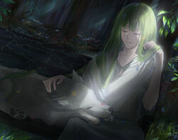  1other androgynous animal animal_on_lap blue_petals closed_eyes clothing_cutout commentary_request cowboy_shot diamond_cutout enkidu_(fate) falling_petals fate/strange_fake fate_(series) flower flower_on_head forest green_hair grin hand_in_own_hair highres light_rays long_hair nature on_lap other_focus outdoors parted_lips petals petting pink_petals plant robe sitonomea sitting sleeping_animal smile sunbeam sunlight tree very_long_hair vines white_robe white_wolf wolf wolf_(fate) yellow_flower 