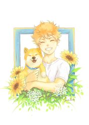  1boy animal animal_collar baby's-breath blue_collar closed_eyes collar collarbone commentary_request crew_neck cropped_torso dog flower grin haikyuu!! hair_behind_ear hinata_shouyou holding holding_animal holding_dog leaf male_focus open_mouth orange_hair picture_frame shiba_inu shirt short_hair smile solo sua_lucid sunflower tongue tongue_out white_background white_flower white_shirt yellow_flower 