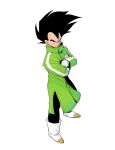  1boy ankle_boots black_bodysuit black_eyes black_hair bodysuit boots closed_mouth coat crossed_arms dragon_ball dragon_ball_super dragon_ball_super_broly dragon_ball_z floating_hair full_body gloves green_coat high_collar highres kz_(dbz_kz) looking_at_viewer male_focus sideways_glance simple_background single_vertical_stripe smirk spiky_hair standing vegeta white_background white_footwear white_gloves widow&#039;s_peak winter_clothes 