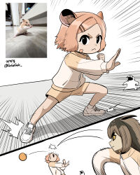  absurdres artist_name artist_self-insert ball barn_owl bird bird_girl black_eyes brown_hair closed_mouth colored_sclera creature_and_personification eagle-owl_(gegegekman) emphasis_lines gegegekman highres jacket long_hair mouse_girl multicolored_hair multiple_girls original owl owl_girl personification photo_inset reference_inset shorts simple_background throwing twitter_username v-shaped_eyebrows white_background yellow_sclera 