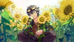  1boy black_hair eyewear_on_head field flower flower_field game_cg green_eyes highres jacket jewelry looking_at_viewer male_focus necklace non-web_source official_art open_clothes outdoors pants parted_lips shirt smile solo squatting sunflower sunflower_field sunglasses tinted_eyewear togame_jou wind_breaker_(nii_satoru) yellow-tinted_eyewear yellow_flower yellow_shirt 