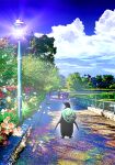  animal bag bird clouds cloudy_sky day falling_petals flower furoshiki highres lamp light light_rays little_pine looking_to_the_side original outdoors park penguin petals road scenery sky standing street summer tree 