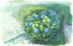  blue_flower bush flower flower_focus grass highres hydrangea leaf no_humans original painting_(medium) path plant plant_focus rope_fence sawitou_mizuki shadow sunlight traditional_media 
