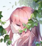  1girl animal_ears ayan_1593817922 bangs blurry close-up commentary_request depth_of_field fox_ears fox_girl genshin_impact hair_between_eyes head_tilt highres leaf long_hair looking_away parted_lips pink_hair sidelocks signature simple_background solo violet_eyes yae_miko 