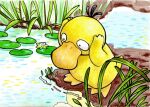 arms_up bird commentary duck ethanol80per lily_pad no_humans outdoors plant pokemon pokemon_(creature) psyduck reflection reflective_water standing