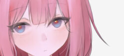 10304 1girl blue_eyes blush closed_mouth commentary kaf_(kamitsubaki_studio) kamitsubaki_studio long_hair looking_at_viewer multicolored_eyes pink_hair portrait red_pupils serious solo upturned_eyes virtual_youtuber white_background yellow_pupils 