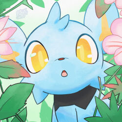  :o alternate_color artist_name black_fur blue_fur blueenergycat commentary english_commentary flower highres nature no_humans pink_flower pokemon pokemon_(creature) pokemon_focus shinx yellow_eyes yellow_pupils 