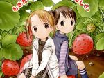  ichigo_mashimaro itou_chika matsuoka_miu strawberry tagme 