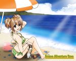  beach bikini brown_eyes elie groove_adventure_rave sky swimsuit tagme water 