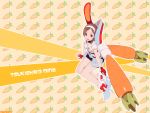  brown_hair bunnygirl carrot getsumen_to_heiki_mina red_eyes tsukuda_mina 