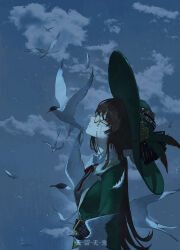  1girl absurdres artist_name bird blue_sky brown_hair clouds cloudy_sky collared_shirt commentary_request facing_up feathers flower from_side glasses green_eyes green_feathers green_hat green_jacket hat hat_feather hat_flower highres jacket kakania_(reverse:1999) looking_up low_ponytail neck_ribbon night picture_hat ponytail profile quliu_wuyi red_ribbon reverse:1999 ribbon round_eyewear shirt sky solo too_many too_many_birds upper_body white_bird white_shirt 