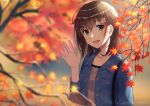  1girl :d autumn_leaves bangs blue_jacket blurry blurry_background book branch brown_eyes brown_hair collarbone day denim denim_jacket depth_of_field grey_shirt hair_between_eyes hair_ornament hand_up holding holding_book jacket kenjirohayamiti leaf long_sleeves looking_at_viewer maple_leaf open_book open_clothes open_jacket original outdoors shirt smile solo teeth twitter_username upper_body upper_teeth 