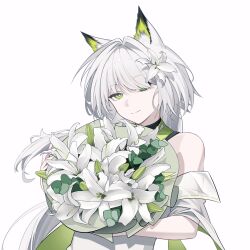  1girl animal_ear_fluff animal_ears arknights bare_shoulders blush bouquet breasts bright_pupils closed_mouth commentary_request detached_sleeves diamond-shaped_pupils diamond_(shape) fingernails flower green_eyes hair_flower hair_ornament highres holding holding_bouquet kal'tsit_(arknights) kal'tsit_esperanta_(arknights) long_hair looking_at_viewer mouseking_(wsjg8378) simple_background solo symbol-shaped_pupils upper_body white_background white_flower white_hair white_pupils 