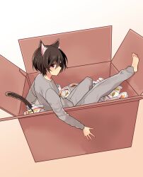 1boy animal_ear_fluff animal_ears barefoot blush box brown_hair cardboard_box cat_boy cat_ears cat_tail charlotte_(anime) closed_mouth commentary_request from_side full_body grey_pants grey_shirt hair_between_eyes highres in_box in_container kemonomimi_mode knees_together_feet_apart light_frown long_sleeves looking_at_viewer male_focus o.z._(okome1026okome) otosaka_yuu outstretched_leg pants red_eyes shirt short_hair simple_background sitting solo tail toes white_background 