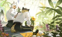  2boys animal_ears blonde_hair cactus commentary_request dark-skinned_male dark_skin greenhouse highres holding holding_plant hyena_boy hyena_ears hyena_tail indoors jip leona_kingscholar looking_at_another male_focus multiple_boys night_raven_college_school_uniform palm_tree plant potted_plant ruggie_bucchi school_uniform shirt short_hair sitting tail tree twisted_wonderland white_hair white_shirt wolf_boy wolf_ears wolf_tail yellow_eyes 