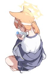  1girl absurdres animal_ear_fluff animal_ears barefoot blue_archive blue_jacket blue_shorts bottle cat_ears cat_girl commentary_request extra_ears from_behind halo headband highres holding holding_bottle indian_style jacket korean_commentary mangotonic mari_(blue_archive) mari_(track)_(blue_archive) official_alternate_costume official_alternate_hairstyle orange_hair ponytail shirt short_hair short_shorts shorts sitting solo sweat water_bottle white_headband white_shirt yellow_halo 