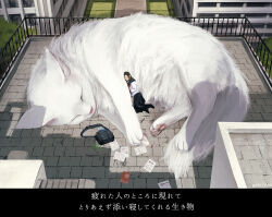  1girl animal bag black_hair blue_sailor_collar blue_skirt book building cat closed_eyes commentary_request fantasy fluffy long_hair lying monokubo neckerchief on_side original outdoors oversized_animal paper pawpads pleated_skirt railing red_neckerchief sailor_collar scenery school_bag school_uniform serafuku shadow shirt skirt sleeping translation_request white_cat white_shirt 