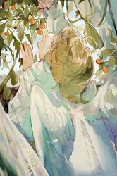  1girl angel angel_wings blonde_hair closed_eyes closed_mouth facing_up feathered_wings from_behind gold_halo halo head_back long_sleeves medium_hair muyihui original plant shirt signature solo traditional_halo vines white_shirt white_wings wings 