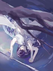  2girls alternate_hair_length_(longer) arms_up asahina_mafuyu backless_dress backless_outfit bare_arms bloom_festival_(project_sekai) branch closed_mouth commentary dress dress_flower english_commentary flower from_above grey_dress grey_flower hair_ornament highres holding holding_hands holding_scythe interlocked_fingers lioneiznotlazy long_hair looking_at_another low_wings lying multiple_girls official_alternate_costume official_alternate_hairstyle on_back project_sekai purple_hair ripples scythe sidelocks sleeveless sleeveless_dress star_(symbol) star_hair_ornament swept_bangs twintails very_long_hair violet_eyes water wet wet_hair white_hair wings yoisaki_kanade 