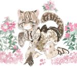  1girl :&lt; all_fours animal_ears animal_print back_bow bare_shoulders bow bowtie cat_ears cat_girl cat_print cat_tail elbow_gloves flower fur_trim gloves green_eyes grey_bow grey_bowtie grey_hair high-waist_skirt japanese_clothes kemono_friends kimono konabetate multicolored_hair print_gloves print_kimono print_legwear print_skirt sandals short_hair skirt sleeveless solo tail thigh-highs tsushima_leopard_cat_(kemono_friends) zettai_ryouiki 