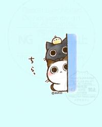  animal animal_focus animal_on_head artist_name baby_animal bird bird_on_head blue_background cat chick closed_mouth commentary_request no_humans on_head original peeking_out simple_background takao_eri translation_request watermark 