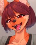  1girl absurdres animal_ear_fluff animal_ears animal_nose bangs black_bra bob_cut bra bra_strap brown_hair chinese_commentary chromatic_aberration collarbone commentary furry furry_female grey_background grey_shirt half-closed_eyes happy head_tilt highres looking_at_viewer multicolored_fur open_mouth orange_fur original portrait red_eyes sharp_teeth shirt short_hair sidelocks simple_background smile snout solo teeth tongue underwear white_fur wolf_ears wolf_girl wolf_girl_(yellowparrot) yellowparrot 
