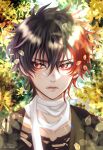  1boy absurdres brown_hair closed_mouth facing_viewer highres hizen_tadahiro leaf looking_to_the_side male_focus multicolored_hair red_eyes redhead scarf short_hair solo touken_ranbu tree zasikirou 