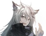  1girl :d ahoge animal_ears arknights black_jacket grey_eyes grey_hair hand_up highres jacket lappland_(arknights) long_hair looking_at_viewer ninshi open_mouth portrait scar scar_across_eye simple_background sketch smile solo white_background wolf_ears wolf_girl 
