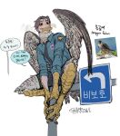  1boy animal_feet animal_hands artist_name badge bird bird_tail bird_wings black_eyes black_necktie blue_shirt brown_hair brown_sclera brown_wings collared_shirt colored_sclera falcon feathered_wings feathers food food_in_mouth full_body harpy_boy highres knee_up korean_text looking_to_the_side male_focus monster_boy mouth_hold necktie original peregrine_falcon personification police police_badge police_uniform policeman road_sign shirt short_hair shorts sign sitting sketch sleeves_rolled_up solo sparrowl speech_bubble tail takoyaki talons uniform white_background wings 