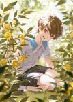  1boy absurdres brown_hair child collared_shirt commentary_request flower highres key looking_at_viewer luke_pearce_(tears_of_themis) male_child male_focus seiza shirt short_hair short_sleeves shorts sitting smile socks solo tears_of_themis violet_eyes xiaojiaju yellow_flower younger 