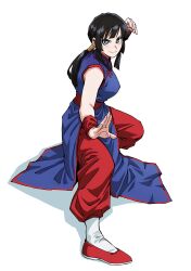  1girl absurdres black_hair blue_shirt bracelet chi-chi_(dragon_ball) china_dress chinese_clothes dragon_ball dragon_ball_(classic) dress fighting_stance hair_tubes highres jewelry kokoro_no_koibito kung_fu long_hair martial_arts pants red_pants red_shoes shadow shirt shoes simple_background sleeveless socks solo white_background white_socks 