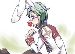  1boy animal_ears brown_pants brown_shirt closed_mouth coat commentary_request flower flower_in_mouth from_side glasses gold_trim green_hair high_priest_(ragnarok_online) long_sleeves looking_at_viewer looking_to_the_side lowres male_focus multicolored_coat pants rabbit_boy rabbit_ears ragnarok_online red_coat red_eyes red_flower shirt short_hair sitting solo two-tone_coat upper_body visor07 white_background white_coat 