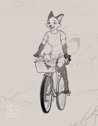 1girl absurdres animal_ears barefoot basket bicycle bicycle_basket body_fur crazyfoxlady digitigrade flower fox_ears fox_tail furrowed_brow furry furry_female greyscale highres monochrome on_bicycle open_mouth original shirt short_sleeves shorts snout stuffed_animal stuffed_toy tail