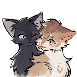  :3 affectionate animal animal_couple animal_focus black_cat blue_eyes brown_cat cat chinese_commentary commentary_request couple cropped_shoulders crowfeather leafpool no_humans one_eye_closed orange_eyes simple_background tabby_cat the_new_prophecy uok_007 warrior_cats white_background 