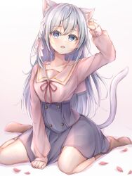  1girl absurdres animal_ear_fluff animal_ears ankle_socks blue_eyes braid brown_socks buttons cat_ears cat_girl cat_tail clenched_hand collarbone commentary crossed_bangs dot_nose expressionless full_body grey_hair grey_skirt hair_between_eyes hair_ribbon hand_on_ground hand_on_own_ear high-waist_skirt highres knees light_blush long_hair long_sleeves looking_at_viewer loose_hair_strand miniskirt neck_ribbon open_mouth original petals pink_ribbon pink_sailor_collar pink_shirt pleated_skirt poe_(528yuzunon) puffy_long_sleeves puffy_sleeves red_ribbon ribbon sailor_collar shadow shirt side_braid sidelocks single_braid sitting skirt socks solo tail very_long_hair wariza white_background 