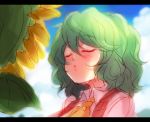  ascot blush cloud flower green_hair kazami_yuuka letterboxed mokku plaid_vest portrait short_hair sunflower touhou 