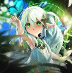  1girl absurdres arm_up armpits bangs blurry bug butterfly commentary_request depth_of_field female_child forest genshin_impact green_eyes hair_between_eyes hair_ornament highres kusanali_(genshin_impact) leaf long_hair looking_at_another looking_away looking_up nature parted_lips pointy_ears shinobi_(yikelanmei) short_sleeves side_ponytail sidelocks white_hair 