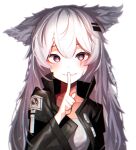 1girl absurdres animal_ears arknights beudelb black_jacket finger_to_mouth grey_eyes grey_hair grey_shirt hair_ornament hairclip highres index_finger_raised jacket lappland_(arknights) long_hair long_sleeves looking_at_viewer open_clothes open_jacket parted_lips penguin_logistics_logo scar scar_across_eye sharp_teeth shirt shushing simple_background solo teeth upper_body very_long_hair white_background wolf_ears wolf_girl 