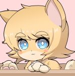  1girl :3 animal_ears bangs blonde_hair blue_eyes blush box bright_pupils cat_ears cat_girl cat_tail closed_mouth commentary_request cookie_(touhou) furrification furry furry_female highres kirisame_marisa looking_at_viewer madore meguru_(cookie) pink_background portrait short_hair smile solo tail thick_eyebrows touhou whiskers white_pupils 