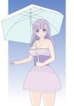  dead_or_alive fiona_(doa) highres looking_at_viewer parasol purple_hair solo umbrella violet_eyes winet 