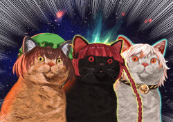  animal_ear_piercing animal_focus animal_with_hair animalization bell black_cat braid brown_hair cat chen chen_(cat) commentary_request emphasis_lines galaxy goutokuji_mike goutokuji_mike_(cat) grey_cat hakuchon821 hat highres jingle_bell kaenbyou_rin kaenbyou_rin_(cat) long_hair meme mob_cap no_humans orange_cat orange_hair red_hair short_hair sky space space_cat_(meme) star_(sky) starry_sky touhou twin_braids upper_body 
