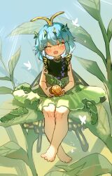  1girl antennae aqua_hair barefoot black_dress blush bug butterfly butterfly_wings chinese_commentary commentary_request dress eternity_larva fairy food fruit green_dress highres insect_wings larva leaf leaf_on_head looking_at_viewer mandarin_orange medium_hair multicolored_dress open_mouth peeling pointy_ears shouxishao_jiuyuan sitting smile solo toes touhou wings yellow_eyes 