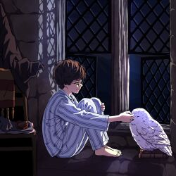  1boy absurdres barefoot bird brown_hair closed_mouth full_body glasses green_eyes harry_potter harry_potter_(series) hat hedwig highres hugging_own_legs kapirusu male_focus owl pajamas petting round_eyewear short_hair sitting smile striped_clothes striped_pajamas unworn_clothes unworn_hat unworn_headwear window wizard_hat wizarding_world 