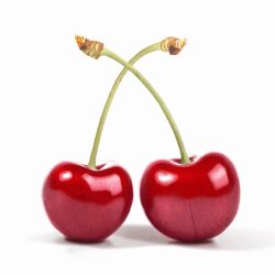  cherry commentary_request food food_focus fruit highres making-of_available no_humans original realistic simple_background still_life white_background yakkunn 
