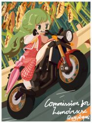  1girl ascot border closed_umbrella commentary commission commissioner_name derbruhniko driving english_commentary field flower flower_field full_body green_eyes green_hair guard_rail highres kazami_yuuka kazami_yuuka_(pc-98) long_hair long_sleeves motor_vehicle motorcycle on_motorcycle open_clothes open_vest outdoors pants pink_umbrella plaid_clothes plaid_pants red_pants red_vest riding riding_motorcycle road shoes solo sunflower sunflower_field touhou touhou_(pc-98) umbrella vest white_border white_shoes yamaha_xsr900 yellow_ascot yellow_flower 