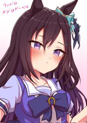 1girl animal_ears aqua_bow blush bow bowtie breasts brown_hair closed_mouth ear_bow hair_between_eyes hair_ornament hairclip highres horse_ears horse_girl long_hair looking_at_viewer medium_breasts mejiro_dober_(umamusume) puffy_short_sleeves puffy_sleeves purple_bow purple_bowtie purple_shirt sailor_collar sailor_shirt school_uniform shirt short_sleeves solo suzuneiroekaki tracen_school_uniform umamusume upper_body violet_eyes white_sailor_collar 